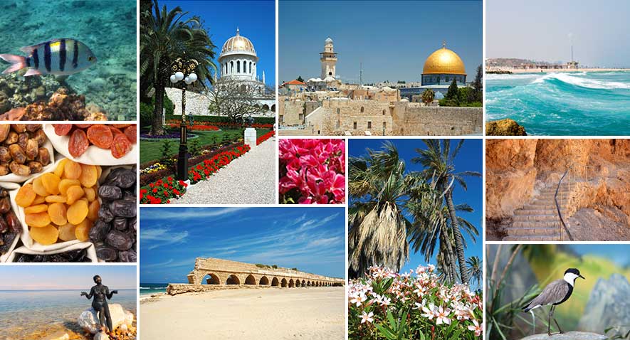 экскурсии в Израиле